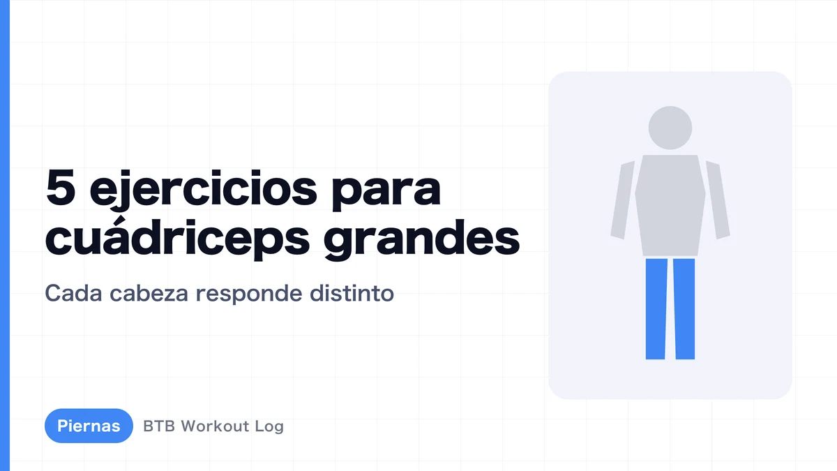 5 ejercicios para aumentar los cuádriceps | Cómo trabajan sus 4 cabezas y cómo combinarlos
