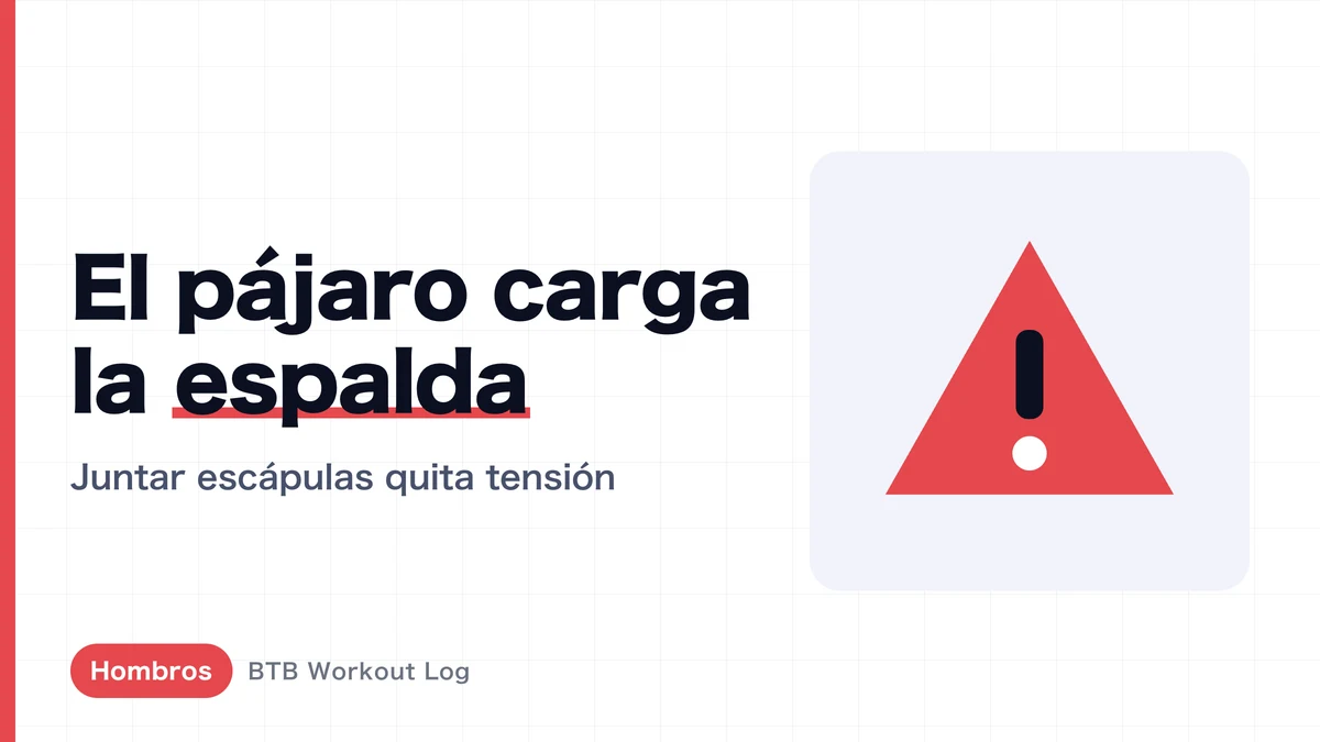 Aperturas para deltoide posterior: por qué trabaja la espalda | Técnica para mantener la carga