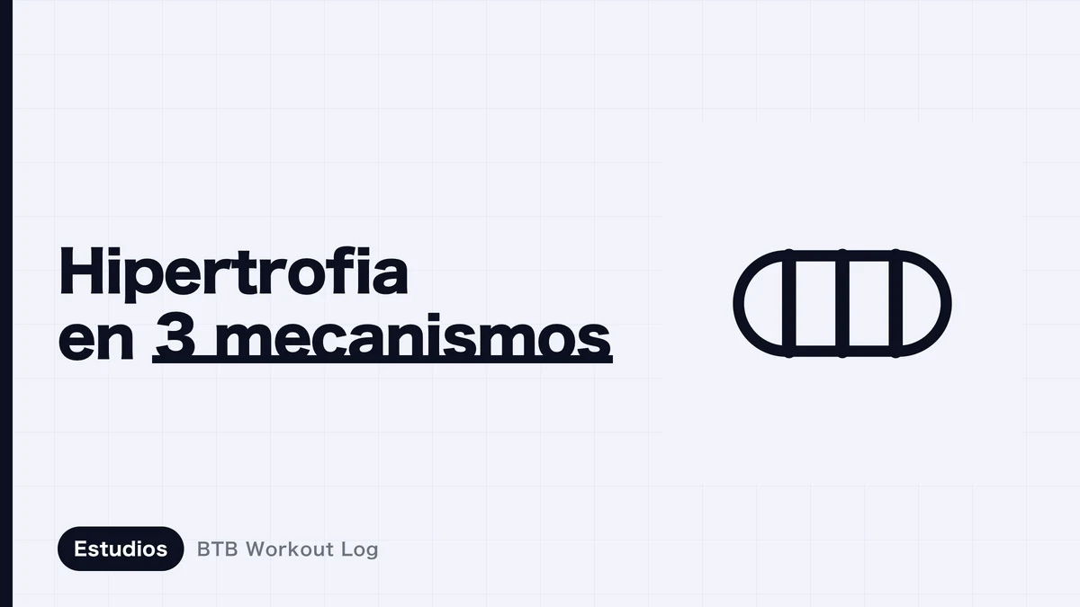 Imagen conceptual de una barra que expresa tres estímulos de hipertrofia muscular: tensión, daño muscular y estrés metabólico