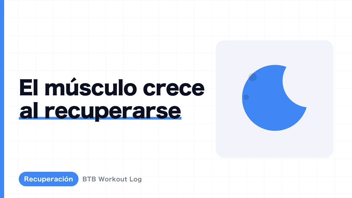 ¿Cuántos días de descanso necesitas para ganar músculo? Tiempos de recuperación por grupo muscular