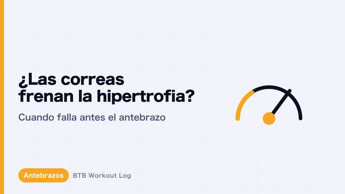 Straps e hipertrofia muscular | ¿Perjudican el crecimiento de la espalda?