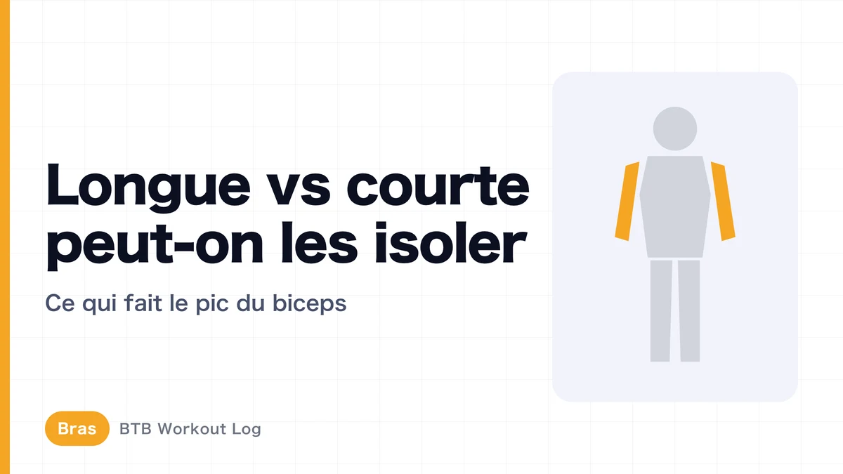 Chef long et chef court du biceps : peut-on vraiment les cibler ? Pic du biceps et tour de bras