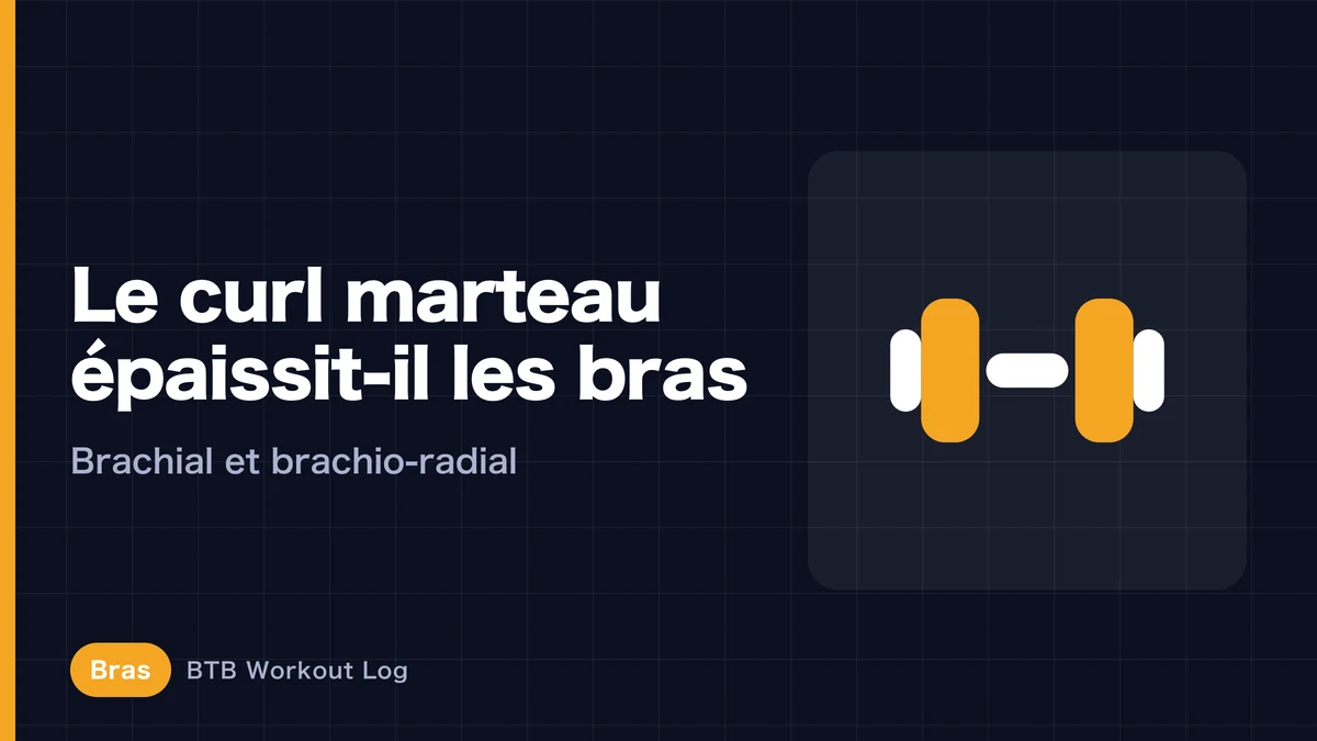 Hammer curl : fait-il vraiment grossir les bras ? Rôle du brachial et du brachio-radial