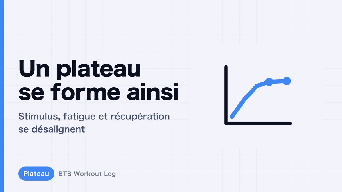 Comment se forment les plateaux : le processus d'arrêt de l'hypertrophie musculaire