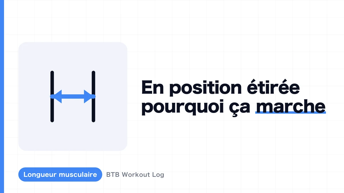 Pourquoi la charge en position étirée favorise-t-elle l'hypertrophie musculaire ?