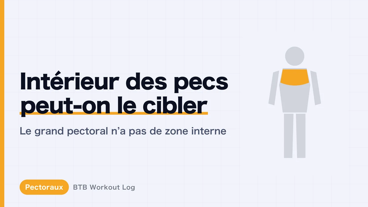 Intérieur des pectoraux : peut-on vraiment le cibler ? La vérité pour mieux dessiner leur séparation