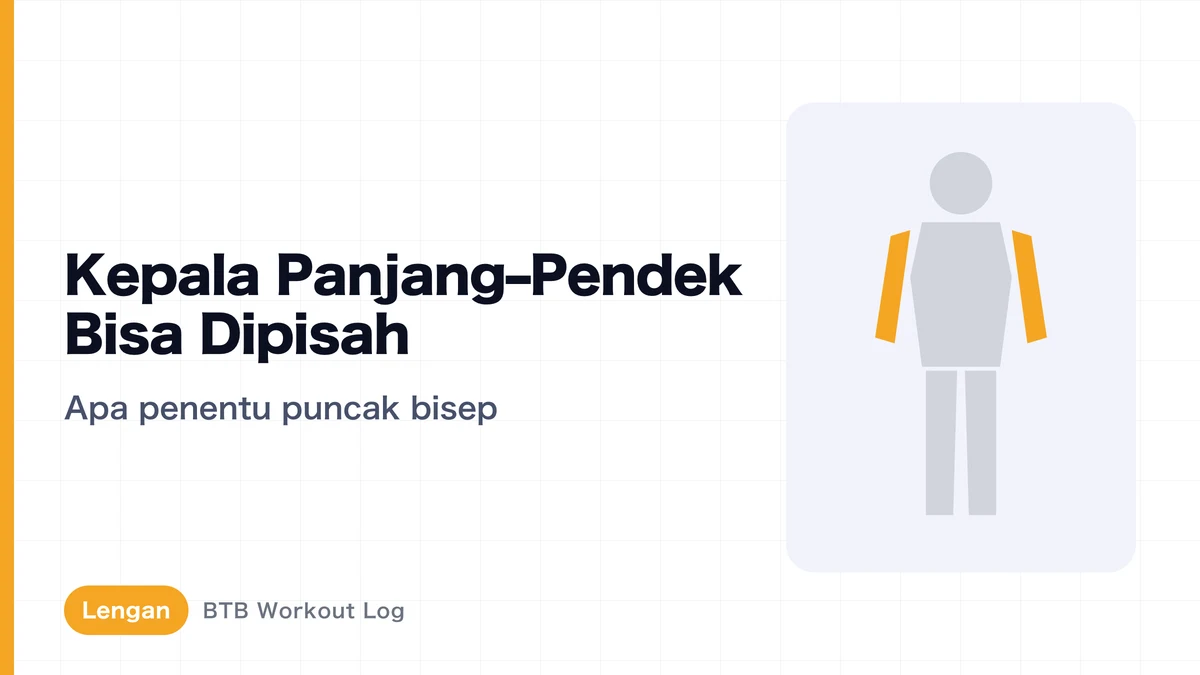 Kepala Panjang dan Pendek Bisep: Bisakah Dilatih Terpisah? Memahami Puncak Bisep dan Ketebalan Lengan