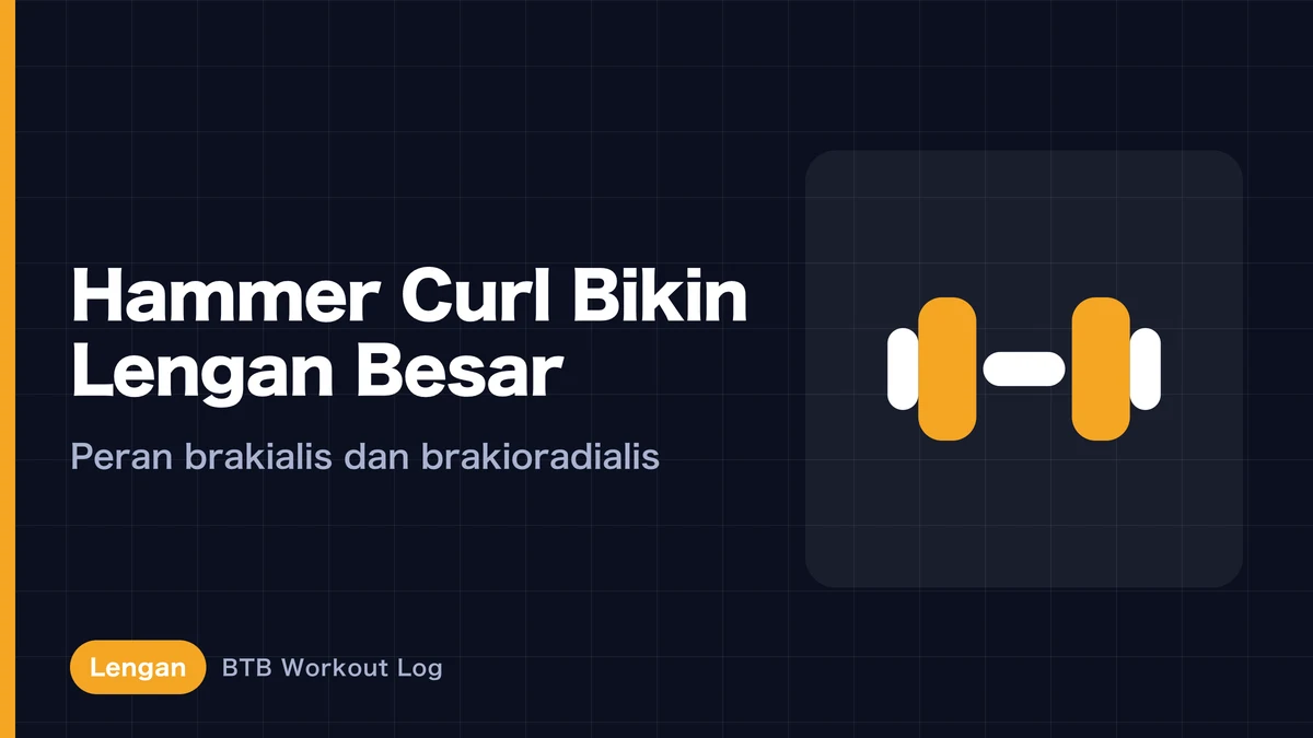 Hammer Curl untuk Membesarkan Lengan: Peran Brachialis dan Brachioradialis