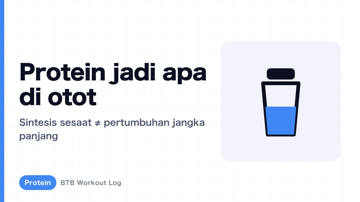 Sintesis protein otot: apa yang terjadi setelah makan protein?