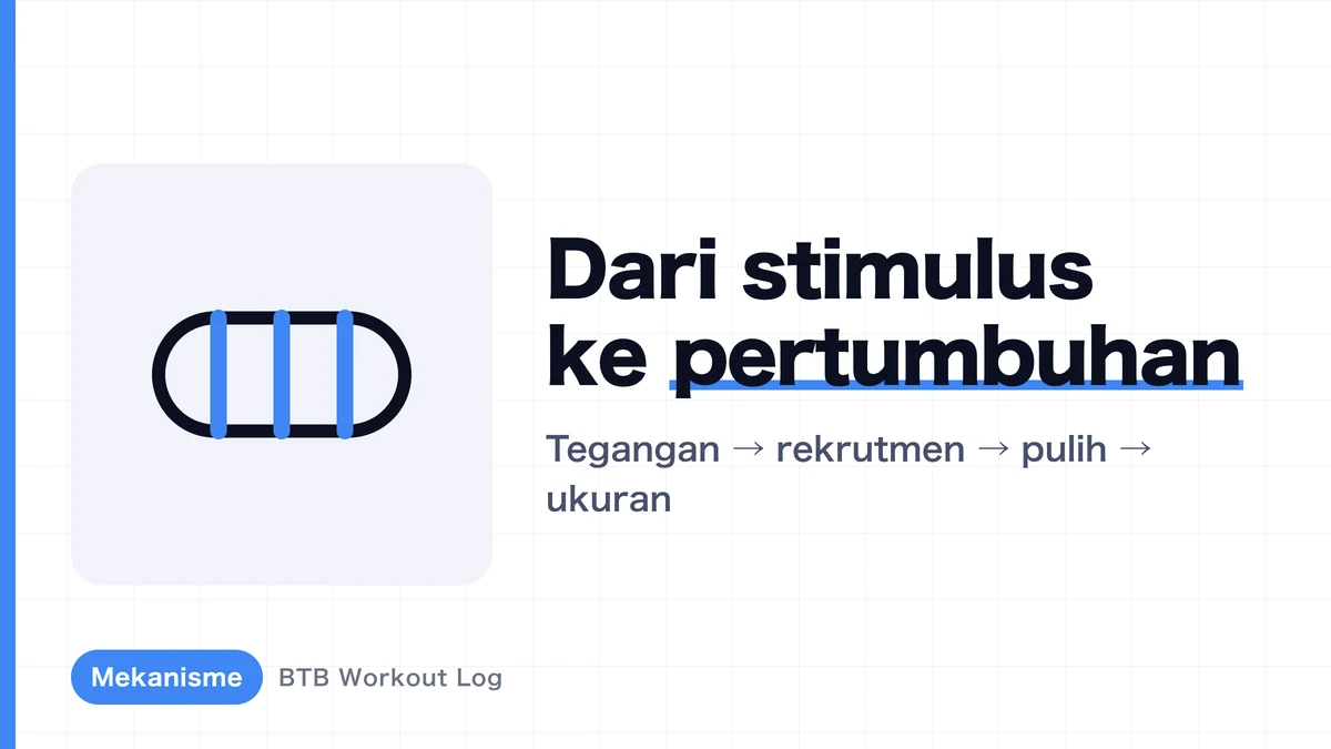 Hipertrofi Otot: Mengapa Latihan Beban Membesarkan Otot?