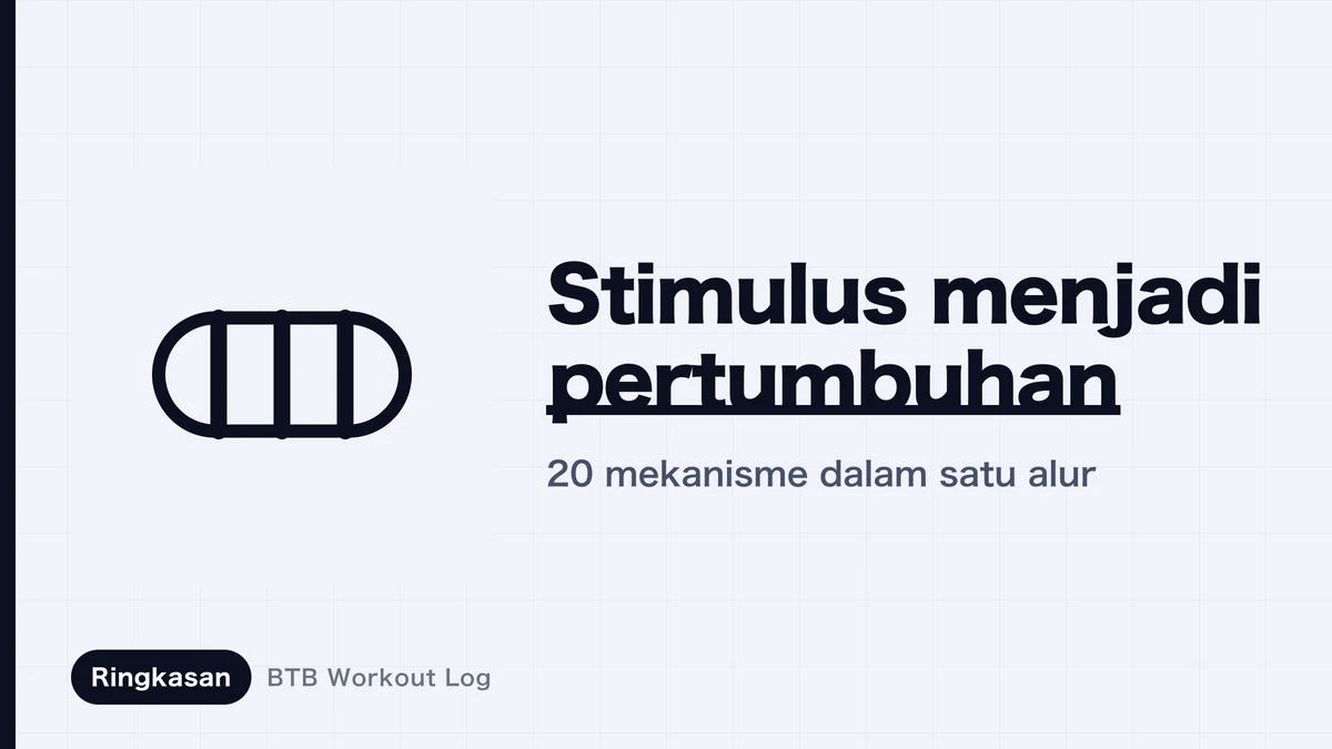 Hipertrofi Otot | Memahami Alur dari Stimulus hingga Pertumbuhan