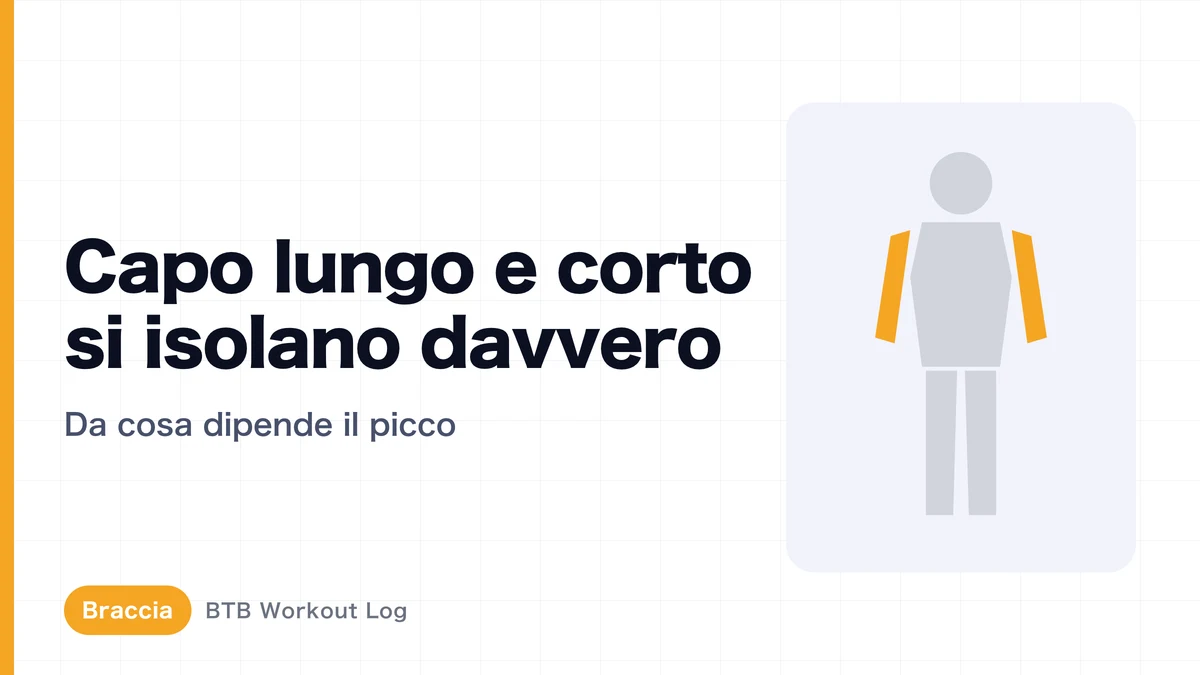 Capo lungo e capo corto del bicipite: si possono allenare separatamente? Picco e spessore del braccio