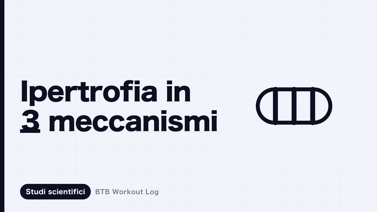 Immagine concettuale di un bilanciere che esprime tre stimoli di ipertrofia muscolare: tensione, danno muscolare e stress metabolico