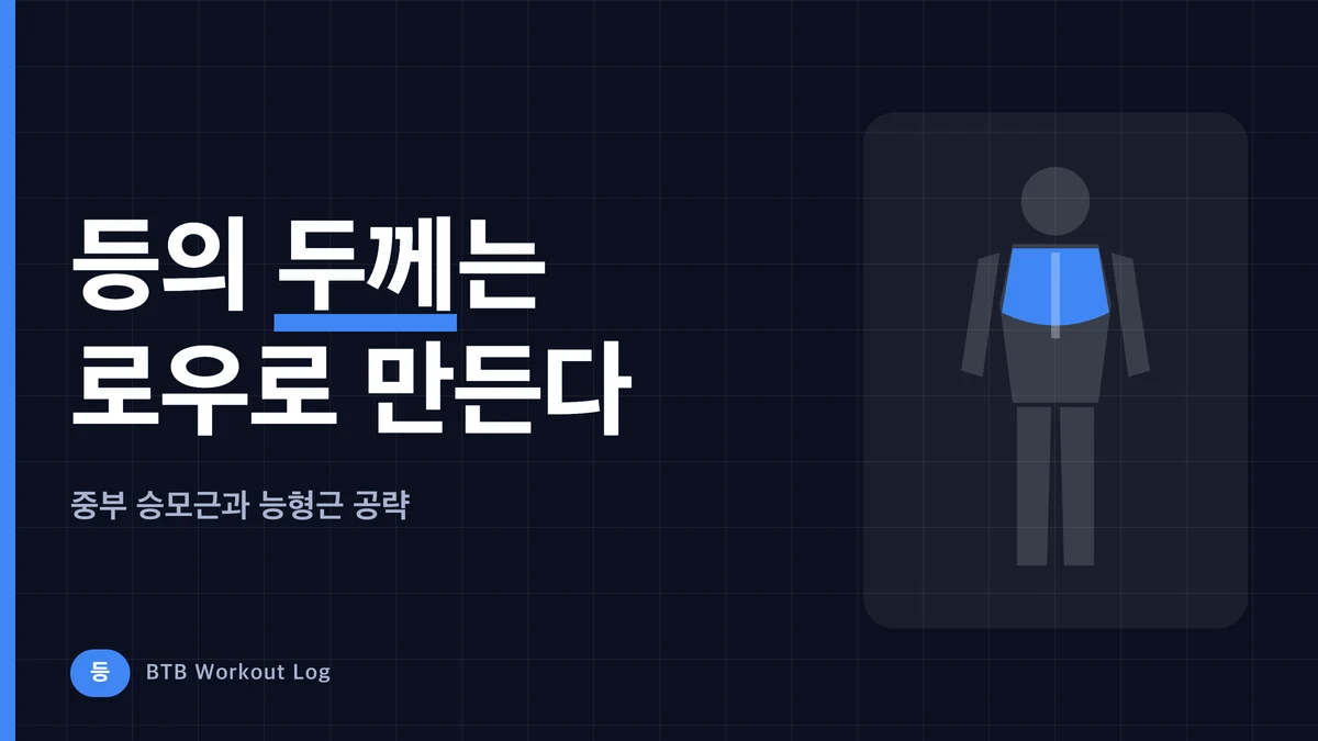 등 두께 운동 | 중부 승모근·능형근을 키우는 로우 5가지