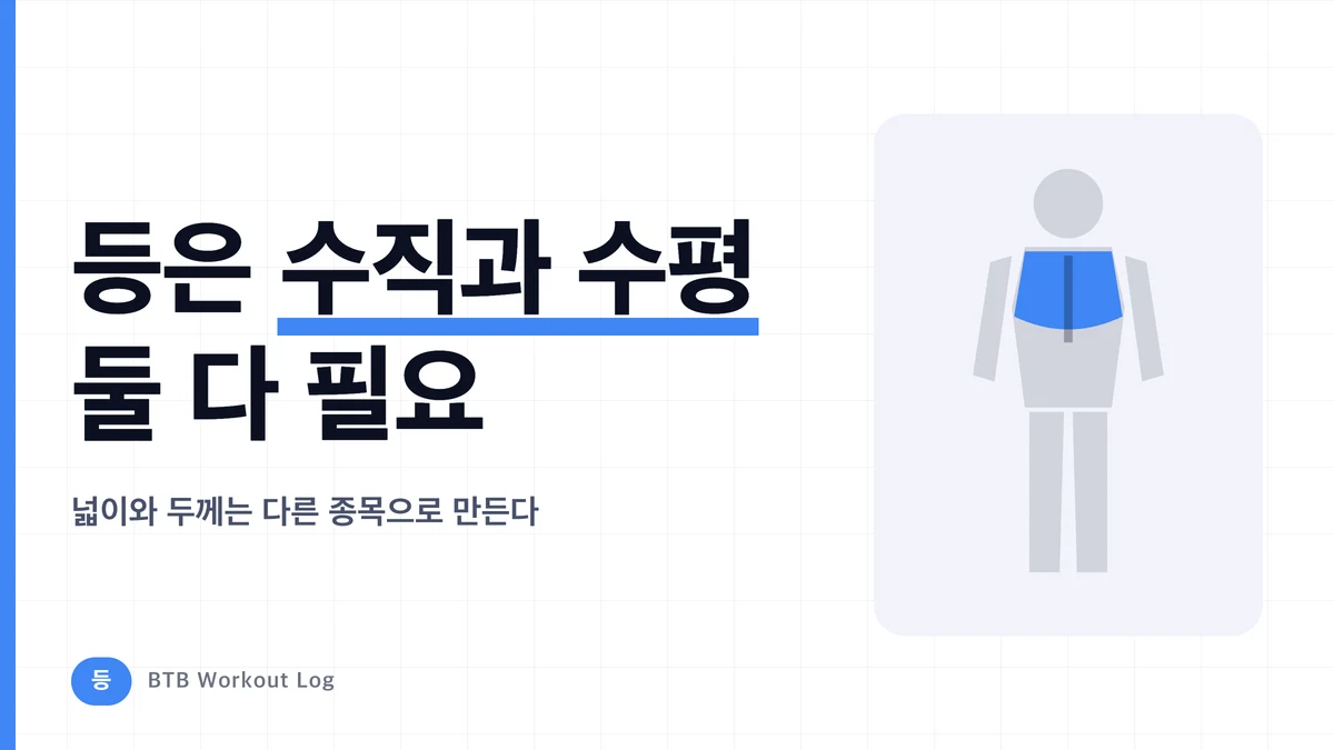 등 근비대 메뉴 결정판 | 광배와 두께를 동시에 키우는 종목 구성