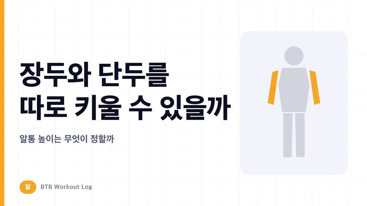 상완이두근 장두·단두, 따로 키울 수 있을까? 알통 높이와 팔 두께의 원리