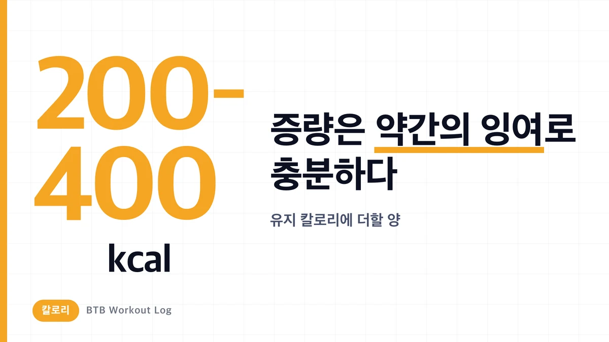 근비대에 필요한 칼로리는? 증량 계산법과 린 매스업의 황금 페이스