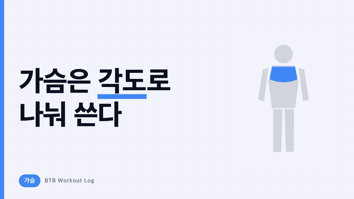가슴 근비대 메뉴 결정판 | 대흉근을 상부까지 발달시키는 종목과 각도