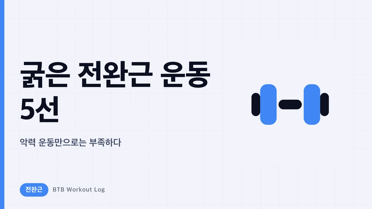 굵은 전완근 만드는 운동 5가지 | 악력 운동만으로 부족한 이유