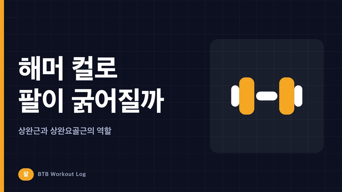 해머 컬로 팔이 굵어질까? 상완근·상완요골근을 키워야 하는 이유