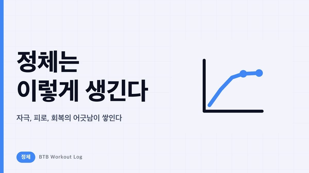 정체는 어떻게 일어나나? 근비대가 멈출 때까지의 과정