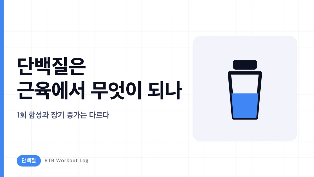 단백질을 섭취하면 근육에서 무슨 일이 일어나는가—근단백질합성 해설