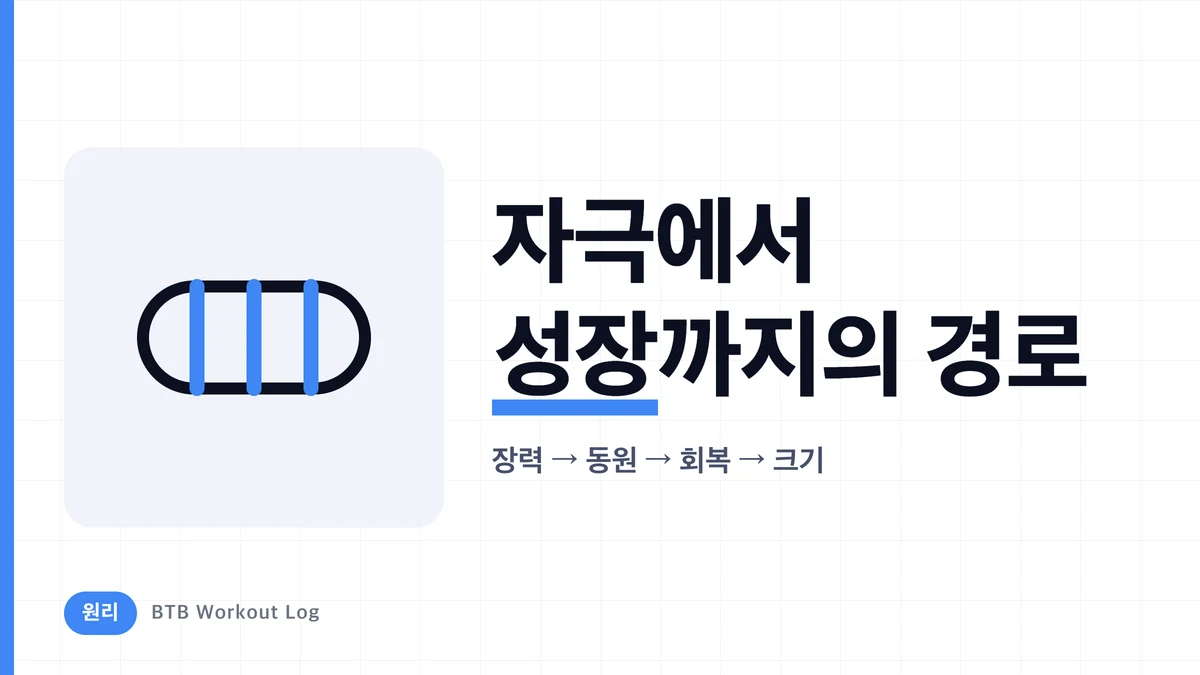 근력운동하면 근육이 커지는 이유? 근비대까지의 과정 설명