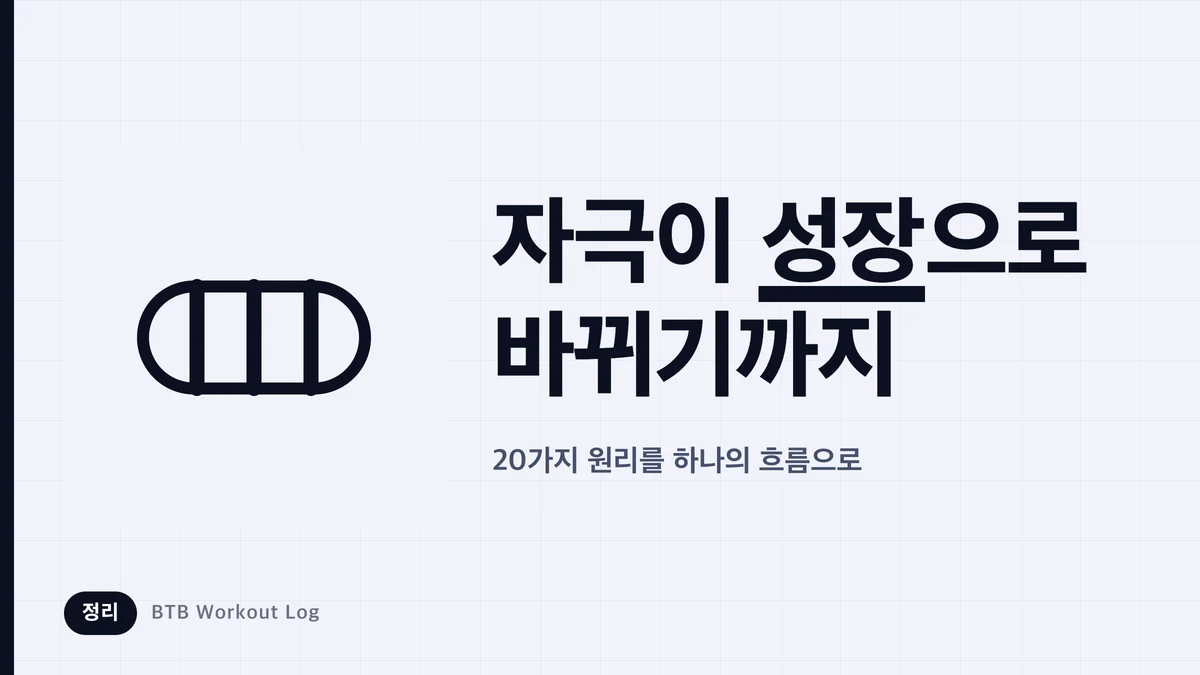 근비대 메커니즘 | 자극부터 성장까지 단계별로 이해하기
