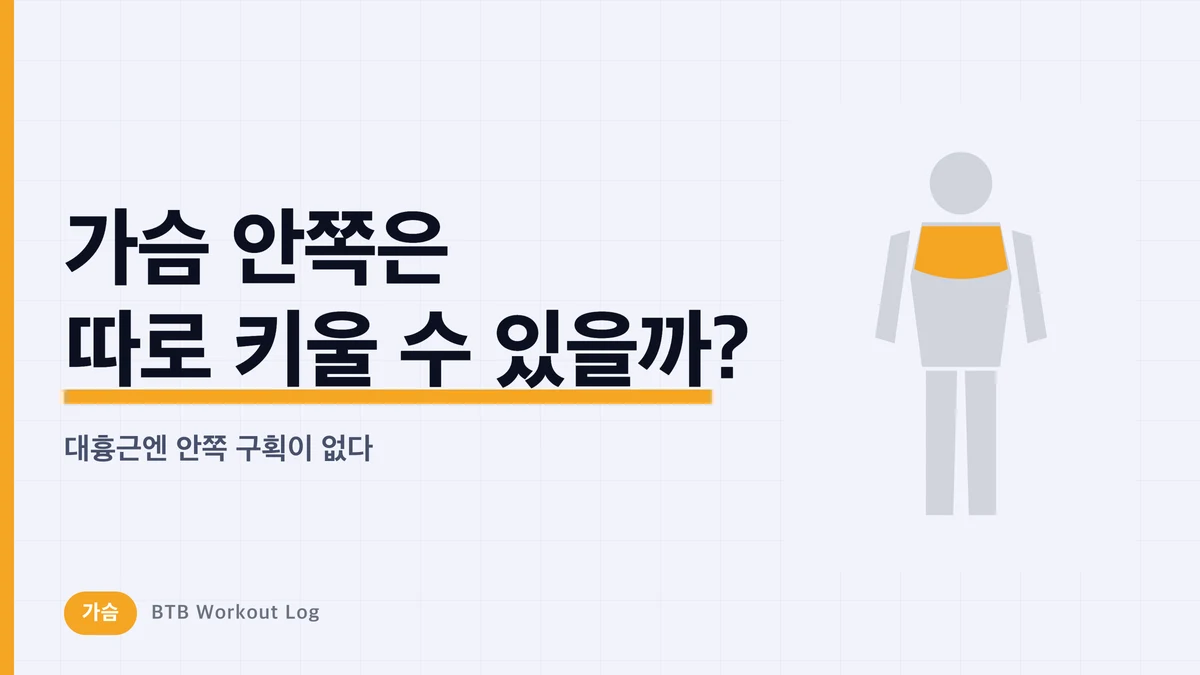가슴 안쪽 운동, 정말 따로 키울 수 있을까? 대흉근 가슴골을 만드는 진실