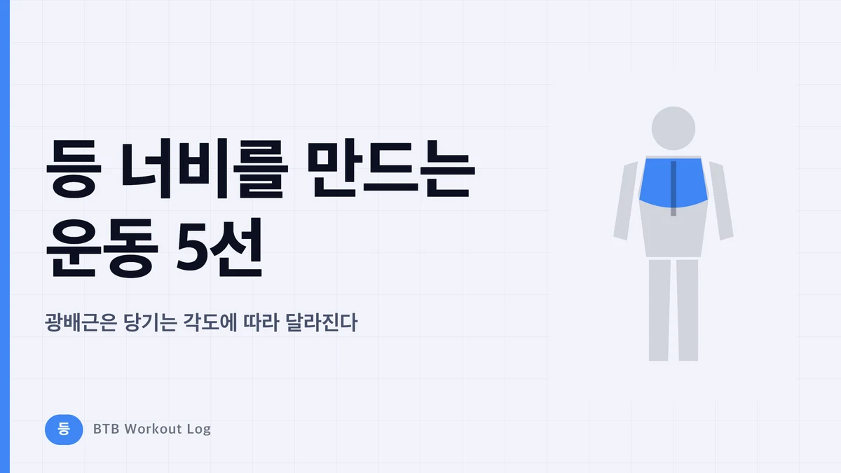 광배근 키우는 운동 5가지 | 넓은 등을 만드는 방법