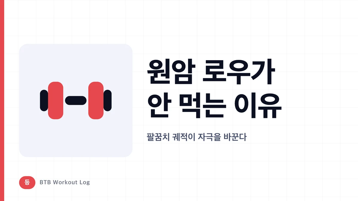 원암 덤벨 로우가 광배근에 안 먹는 이유 | 팔꿈치 궤도로 자극이 달라진다