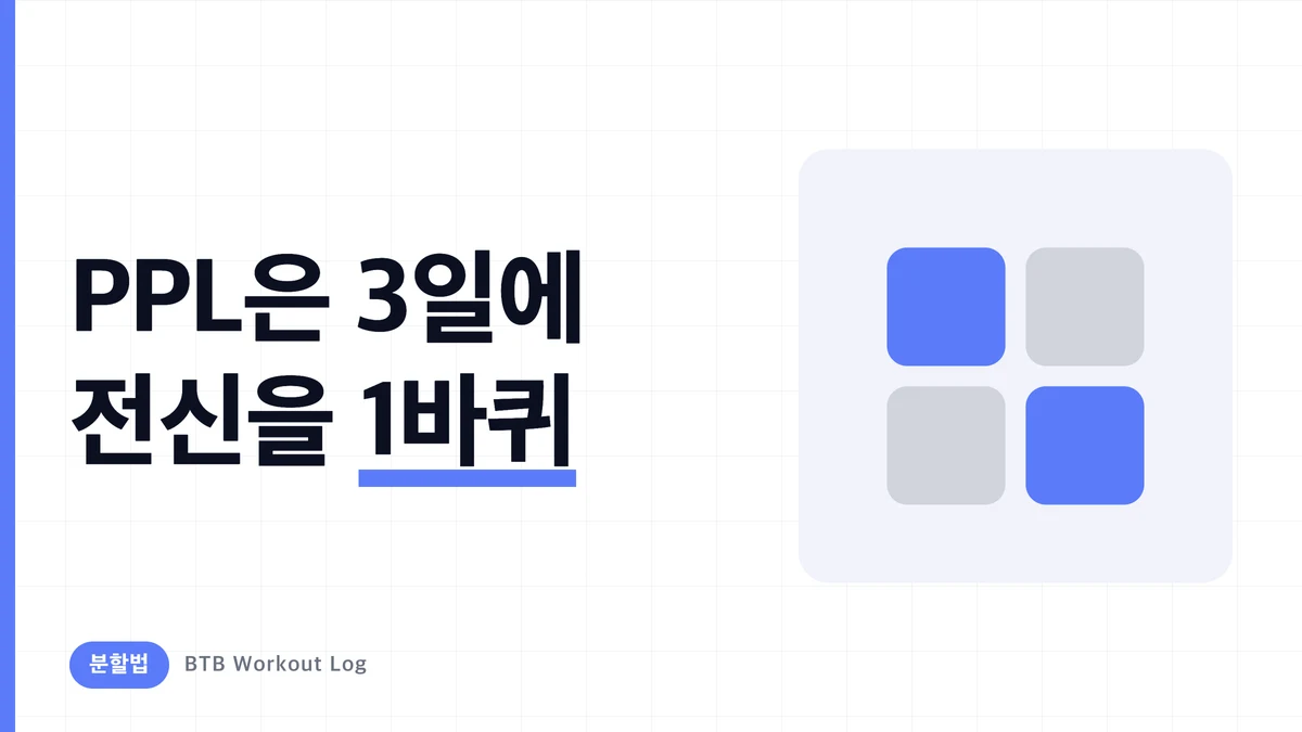 PPL 루틴 완전판 | Push/Pull/Legs 종목 예시와 주 3회·주 6회 사이클 방법