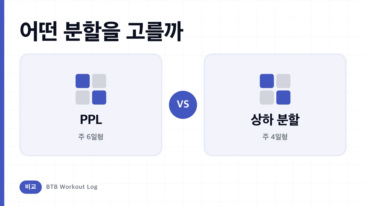 PPL vs 상하체 분할, 근비대에는 어느 쪽이 유리한가