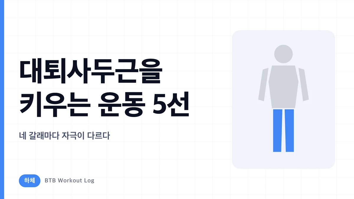 대퇴사두근 운동 5가지 | 4개 근두별 자극과 조합법