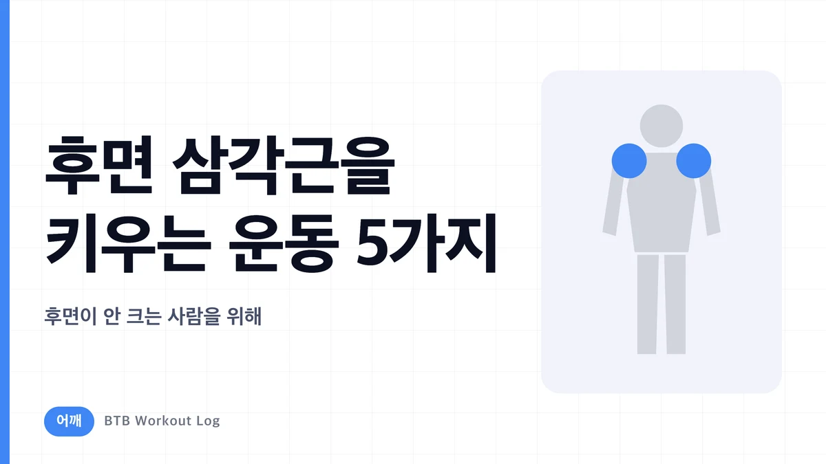 후면 삼각근 키우는 운동 5가지 | 어깨 후면이 안 크는 사람을 위한 완벽 가이드