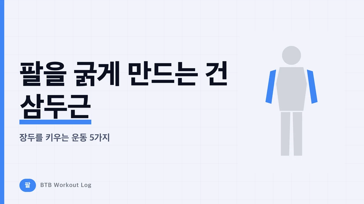 팔을 굵게 만드는 상완삼두근 운동 | 장두를 키우는 운동 5가지