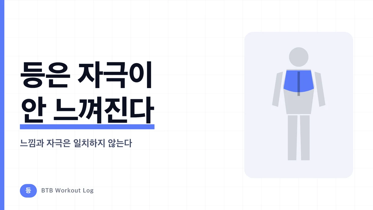 등 운동이 자극감을 느끼기 어려운 이유