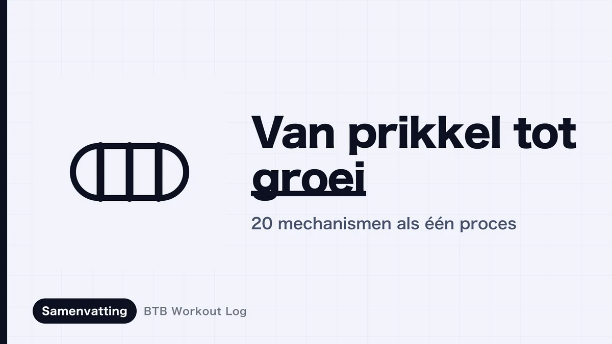 Hoe spierhypertrofie ontstaat: van prikkel tot groei stap voor stap