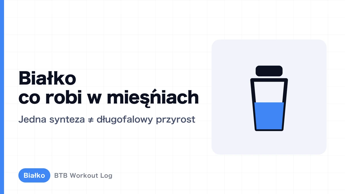 Synteza białek mięśniowych: co dzieje się po spożyciu białka?