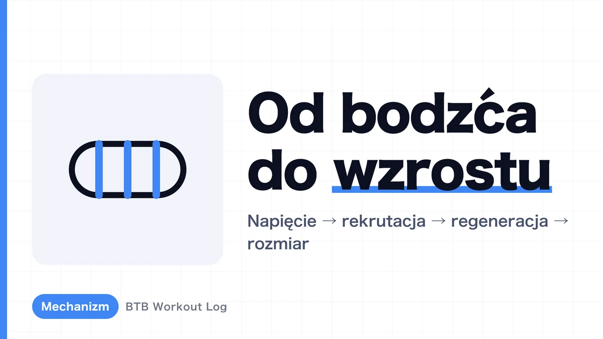 Hipertrofia mięśni: dlaczego trening siłowy powoduje ich wzrost?