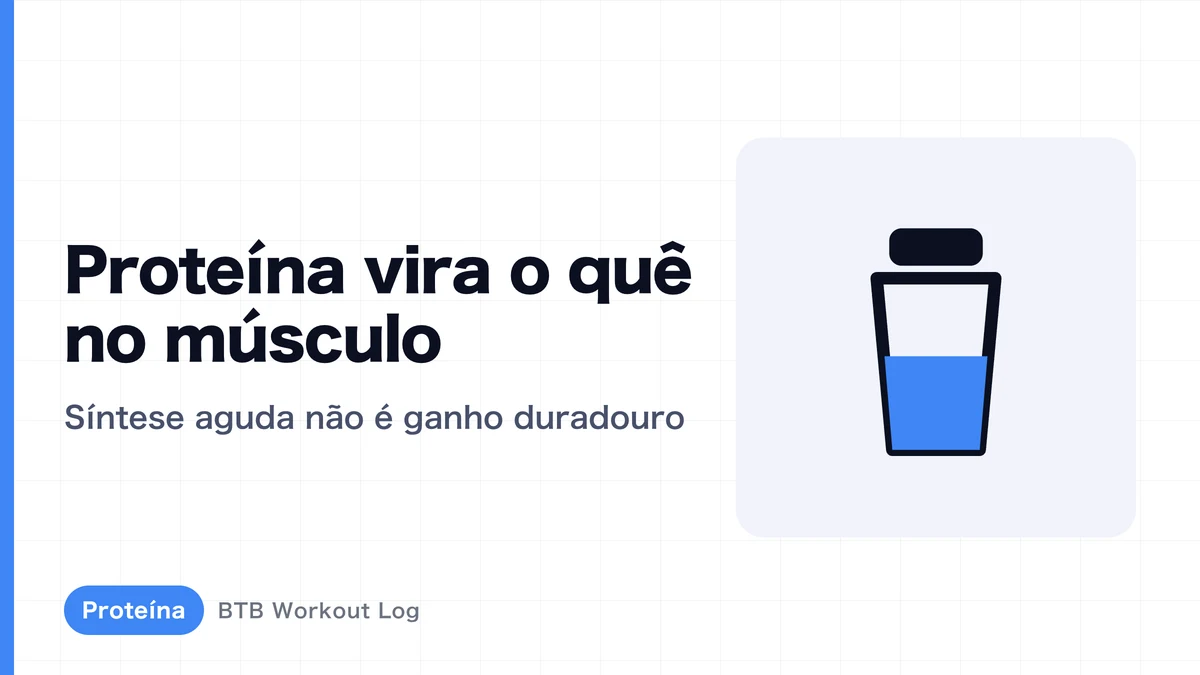 Síntese proteica muscular: o que a proteína faz no músculo