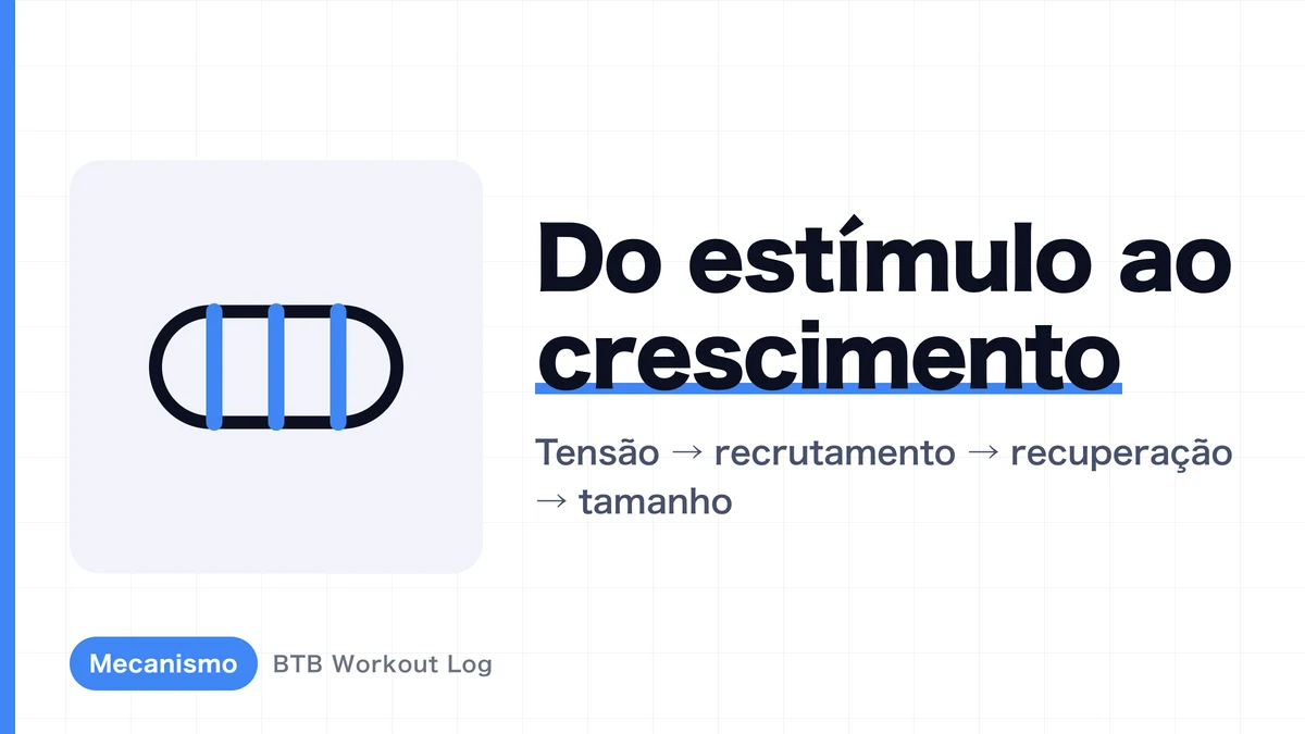 Hipertrofia muscular: por que o treino faz os músculos crescerem?