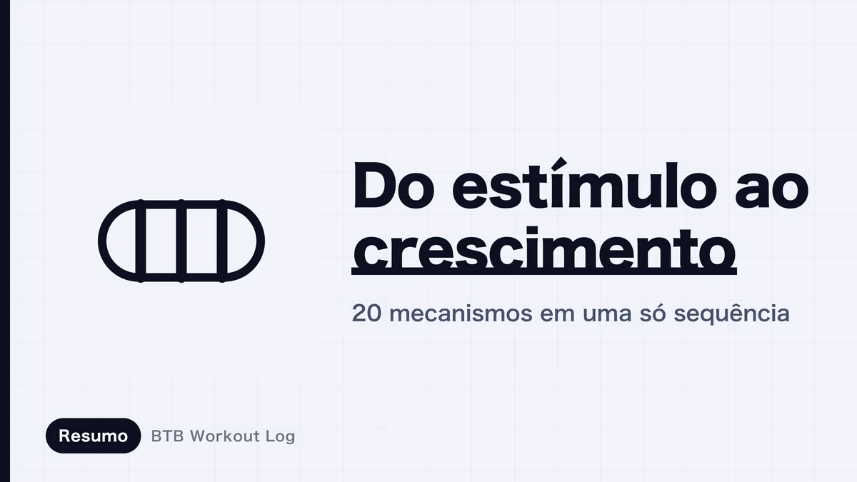 Hipertrofia muscular | Do estímulo ao crescimento, passo a passo