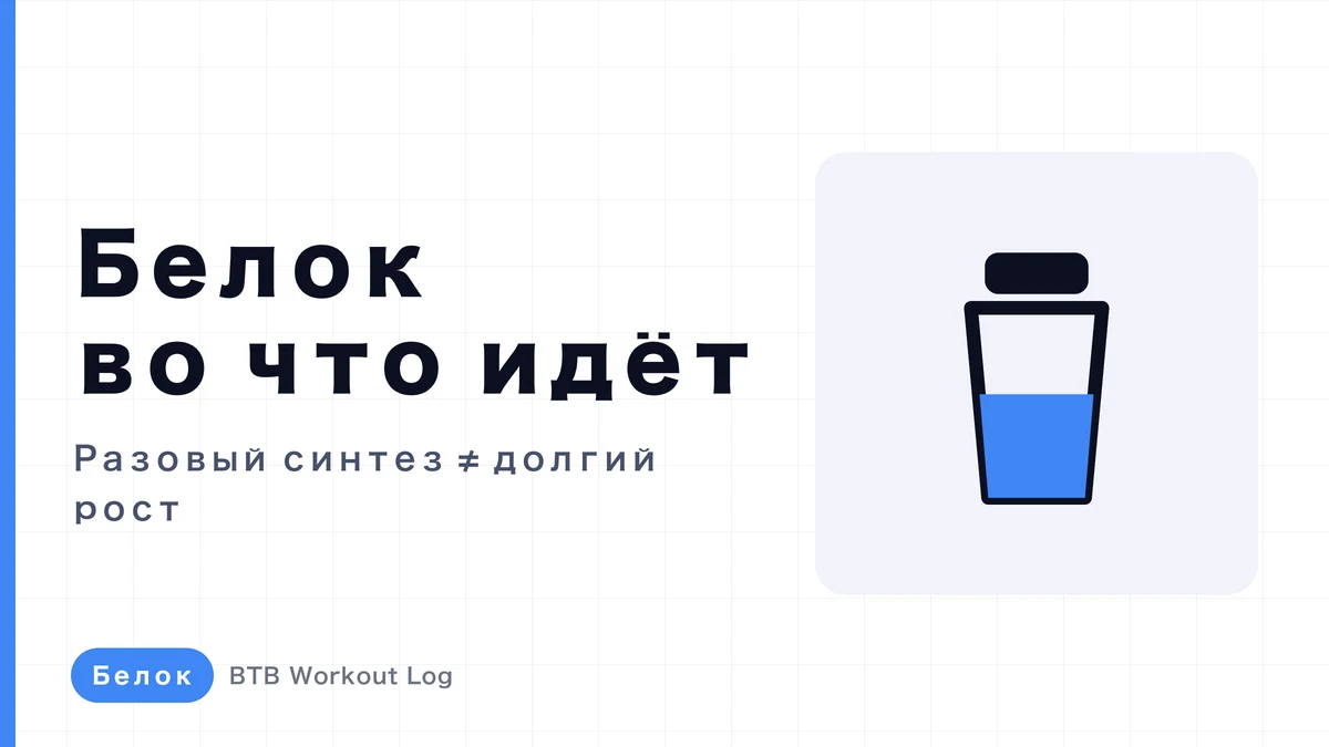 Синтез мышечного белка: что происходит в мышце при поступлении белка