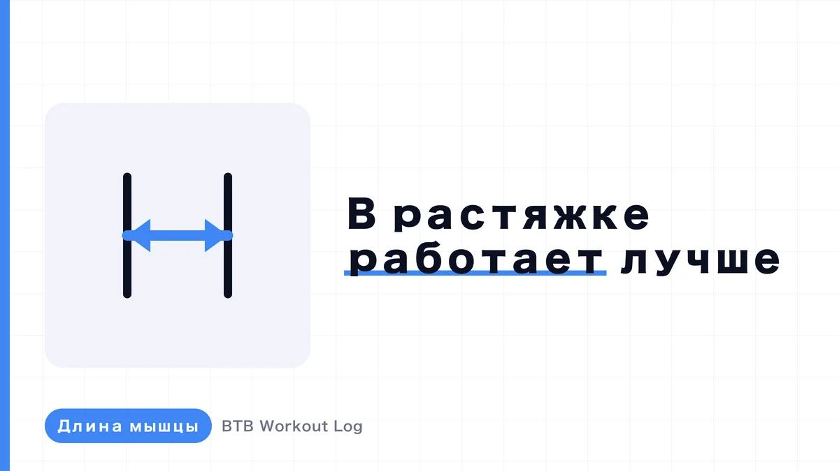Почему нагрузка в растянутом положении приводит к большей мышечной гипертрофии