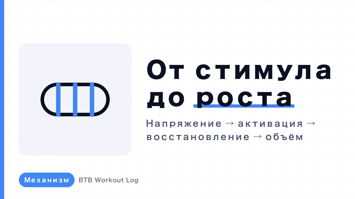 Почему при тренировке растут мышцы? Полная схема мышечной гипертрофии