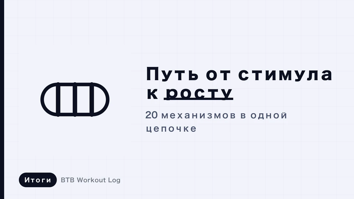 Мышечная гипертрофия: от стимула к росту — полное объяснение механики