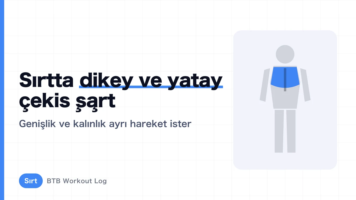 Kas Geliştirme İçin Sırt Antrenmanı | Doğru Egzersiz Karışımıyla Genişlik ve Kalınlık