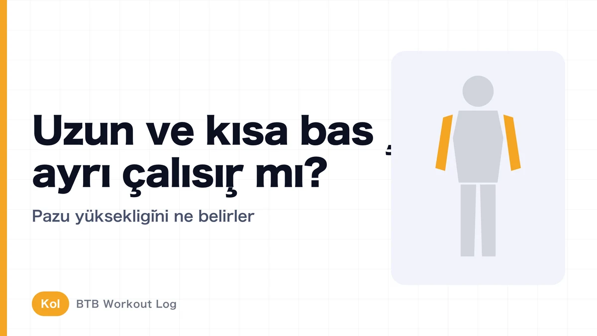 Biseps Uzun ve Kısa Başı Ayrı Çalıştırılabilir mi? Tepe Yüksekliği ve Kol Kalınlığı