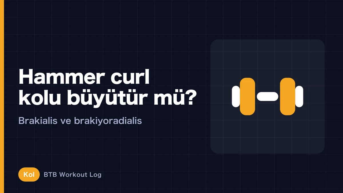 Hammer Curl Kolu Büyütür mü? Brachialis ve Brachioradialis Neden Önemli?